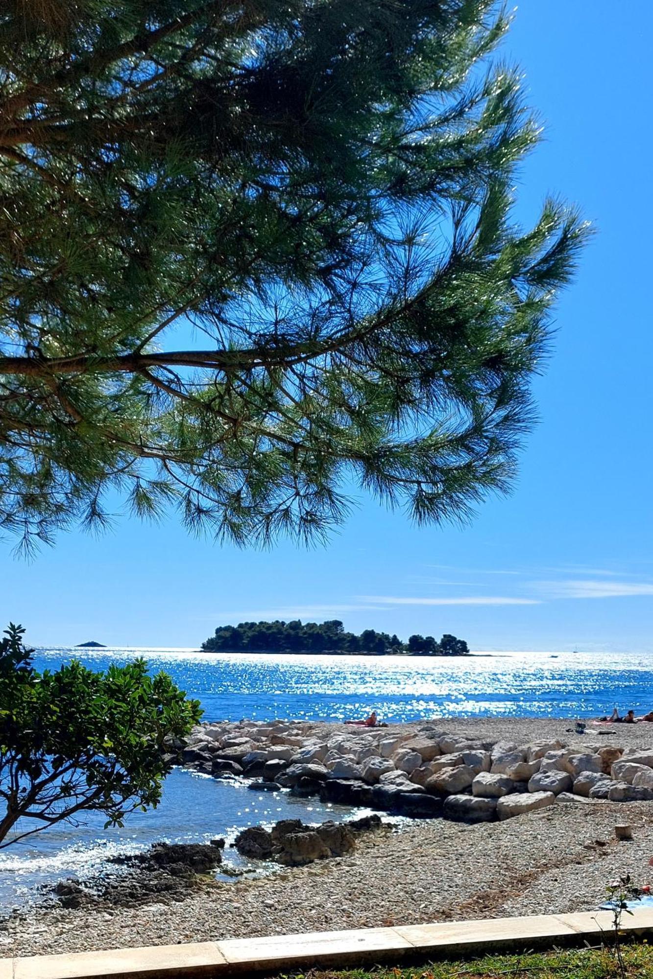 Family Apartment Villa Zrnka S Besplatnim Parkingom Rovinj Ngoại thất bức ảnh